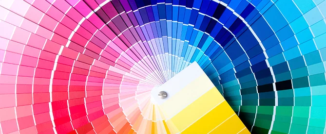 What is Pantone Color